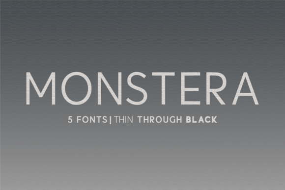 Monstera: Elevate Your Brand Design
